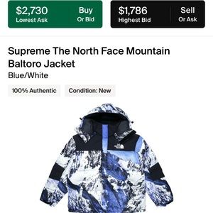 Supreme The North Face Mountain Baltora Jacket